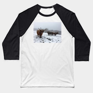 Scottish Highland Cattle Cows 2378 Baseball T-Shirt